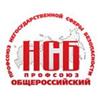 Общероссийская общественная организация «Профессиональный союз негосударственной сферы безопасности»